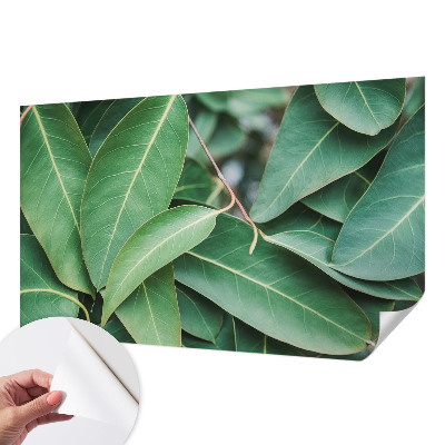 Zelfklevend fotobehang Groene bladeren