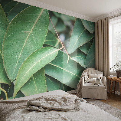 Zelfklevend fotobehang Groene bladeren