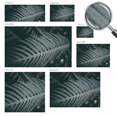 3D fotobehang Groen blad