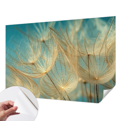 Zelfklevend fotobehang Etherische paardenbloemen