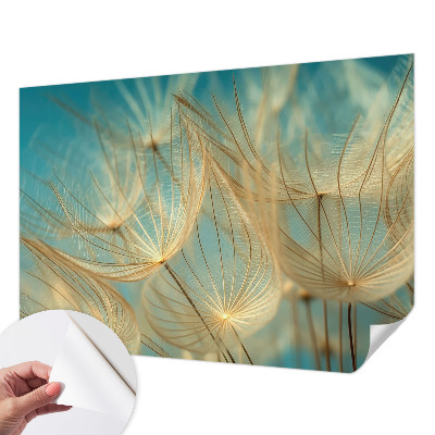 Zelfklevend fotobehang Etherische paardenbloemen
