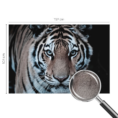 Zelfklevend fotobehang Tijgerportret