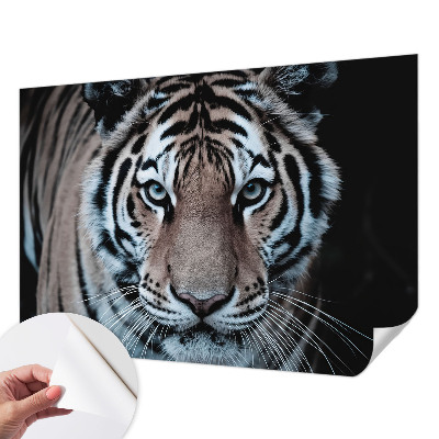 Zelfklevend fotobehang Tijgerportret