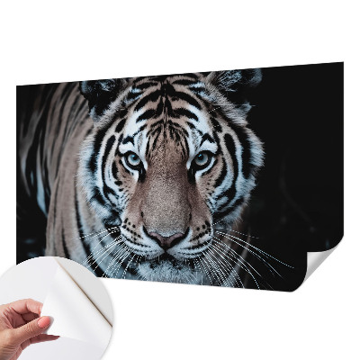 Zelfklevend fotobehang Tijgerportret