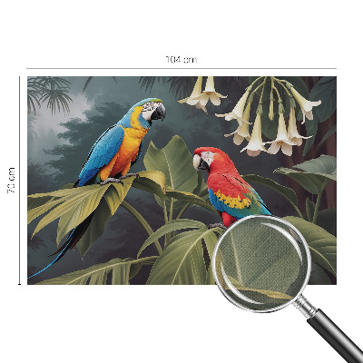 Fotobehang voor de kinderkamer met kleurrijke papegaaien