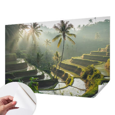 3D fotobehang met het patroon 'Paradijselijke terrassen'