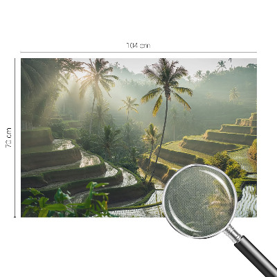 3D fotobehang Paradijselijke terrassen