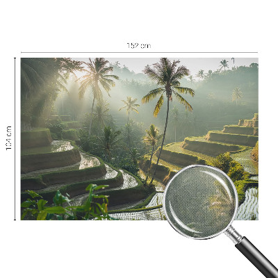 3D fotobehang Paradijselijke terrassen