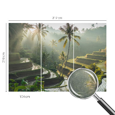 3D fotobehang Paradijselijke terrassen