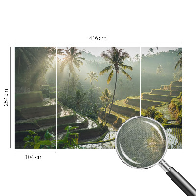 3D fotobehang Paradijselijke terrassen