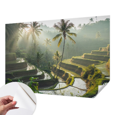 3D fotobehang Paradijselijke terrassen