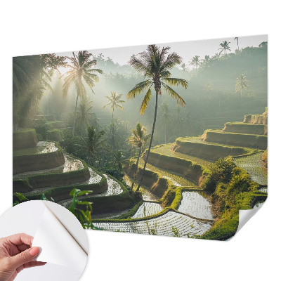 3D fotobehang Paradijselijke terrassen
