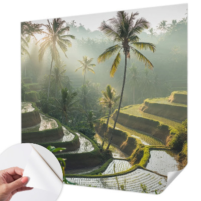3D fotobehang Paradijselijke terrassen