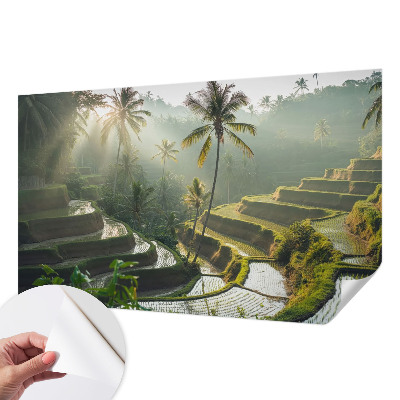 3D fotobehang Paradijselijke terrassen