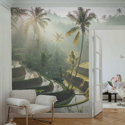 3D fotobehang Paradijselijke terrassen