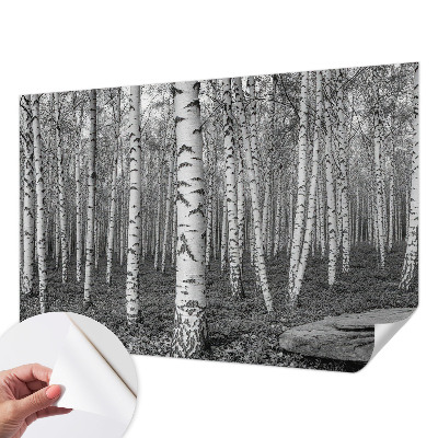 Fotobehang voor kinderkamer met een berkenbosmotief