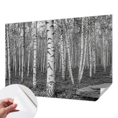 Fotobehang voor kinderkamer met een berkenbosmotief