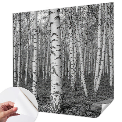Fotobehang voor kinderkamer met een berkenbosmotief