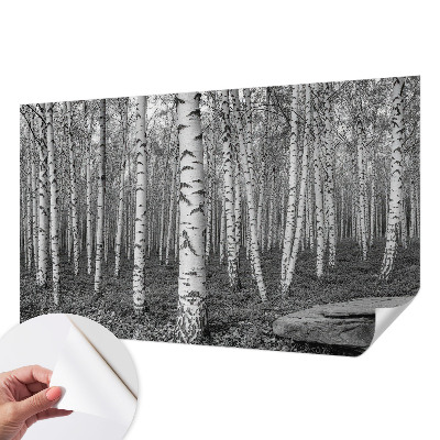 Fotobehang voor kinderkamer met een berkenbosmotief