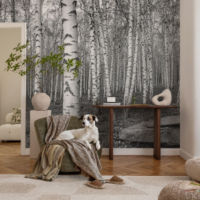 Fotobehang voor kinderkamer met een berkenbosmotief