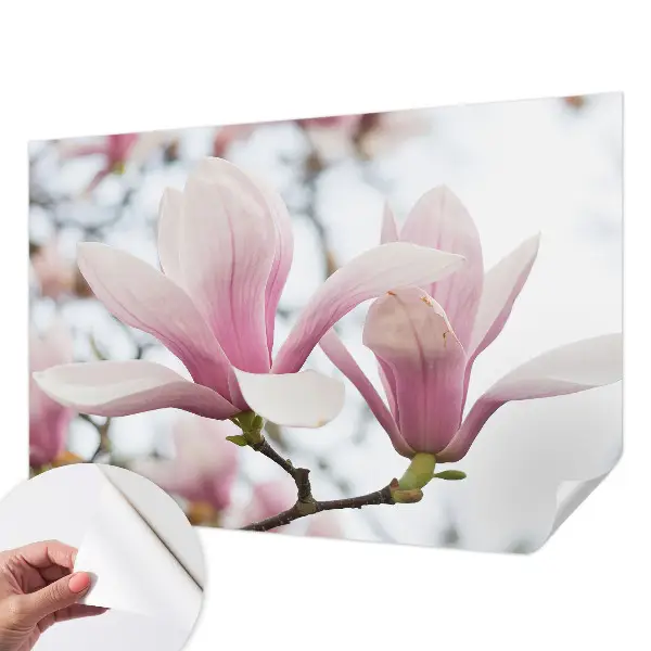 Zelfklevend fotobehang op maat met magnoliabloemen