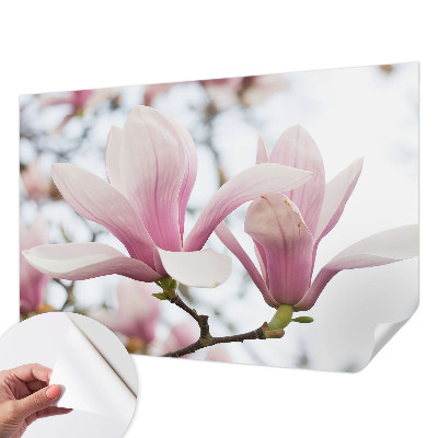 Zelfklevend fotobehang op maat Magnolia bloemen