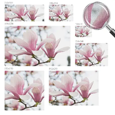 Zelfklevend fotobehang op maat met magnoliabloemen
