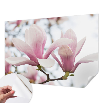 Zelfklevend fotobehang op maat Magnolia bloemen