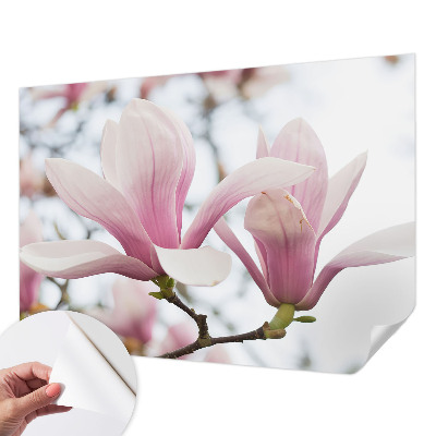 Zelfklevend fotobehang op maat Magnolia bloemen