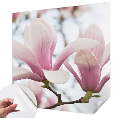 Zelfklevend fotobehang op maat Magnolia bloemen