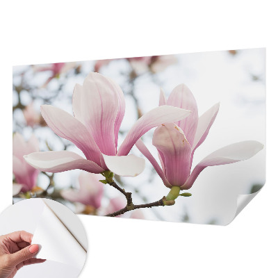 Zelfklevend fotobehang op maat Magnolia bloemen