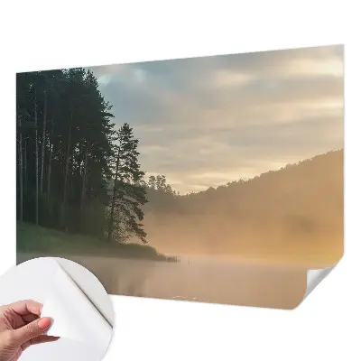 3D fotobehang met een mistige ochtendscène