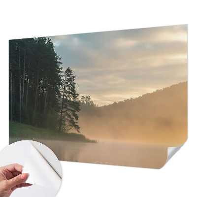 3D fotobehang Mistige ochtend