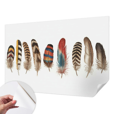 Fotobehang tienerkamer met een kleurrijk verenmotief