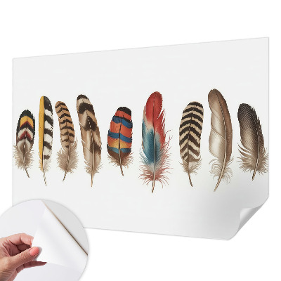 Fotobehang tienerkamer Kleurrijke veren