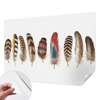 Fotobehang tienerkamer met een kleurrijk verenmotief