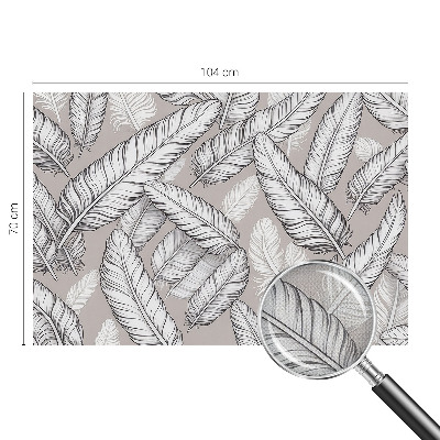 3D fotobehang Subtiele veren