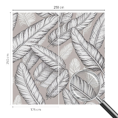 3D fotobehang Subtiele veren