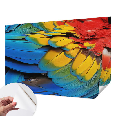 Fotobehang voor kinderkamer met een patroon van regenboogveren
