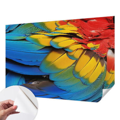 Fotobehang voor kinderkamer Regenboogveren