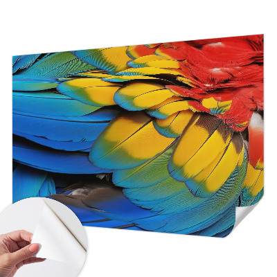 Fotobehang voor kinderkamer Regenboogveren