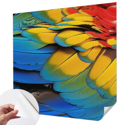 Fotobehang voor kinderkamer met een patroon van regenboogveren