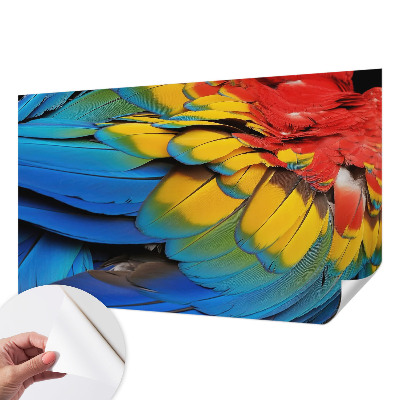Fotobehang voor kinderkamer Regenboogveren