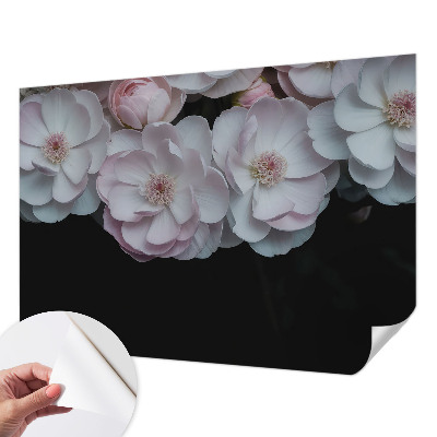 Zelfklevend fotobehang Een delicaat boeket