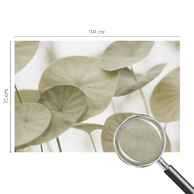 Fotobehang tienerkamer Natuurlijke elegantie