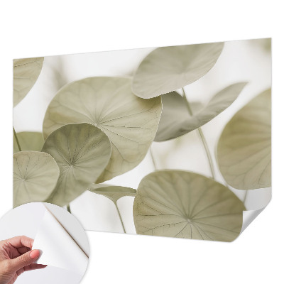 Fotobehang tienerkamer Natuurlijke elegantie