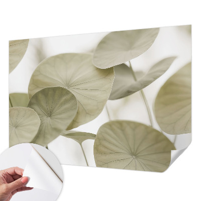 Fotobehang tienerkamer Natuurlijke elegantie