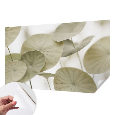 Fotobehang tienerkamer Natuurlijke elegantie