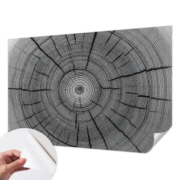 Zelfklevend fotobehang Bosharmonie