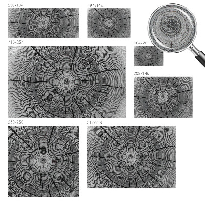 Zelfklevend fotobehang Bosharmonie